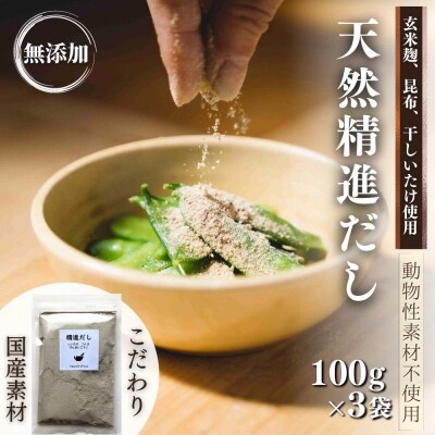 【スピード発送】 天然 精進 だし 100g×3袋 無添加 国産 素材 玄米 麹 昆布 干 しいたけ