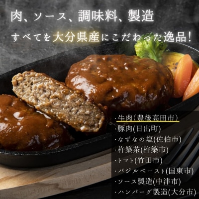 大分の恵み ハンバーグ 1.6kg (160g×10個)