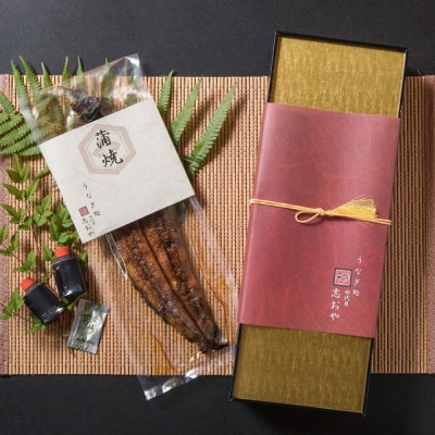 【スピード発送】 うなぎ 志おや 九州産 鰻 蒲焼 1本(170~200g、タレ付) ウナギ かば焼