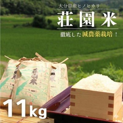 荘園米 【玄米】11kg(1袋/精米後約10kg)  精米 ひのひかり ヒノヒカリ