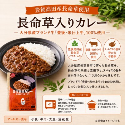 大分素材の健康レトルトカレーと白ネギピクルスセット レトルトカレーセット 湯煎・電子レンジ対応