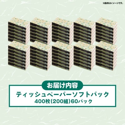 ティッシュペーパーソフトパック　400枚(200組)60パック【ZB】