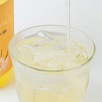 PREMIUM 梅ジュース