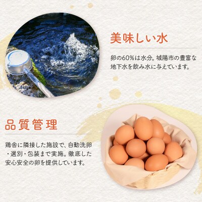 【毎月定期便】京たまご 茶乃月 40個全3回