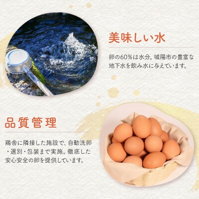 【毎月定期便】京たまご 茶乃月 40個全12回