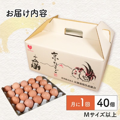 【毎月定期便】京たまご 茶乃月 40個全12回