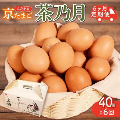 【毎月定期便】京たまご 茶乃月 40個全6回