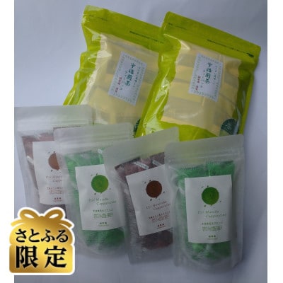 【さとふる限定】宇治煎茶ティーバッグ、宇治抹茶、宇治ほうじ茶カプチーノ2個セット
