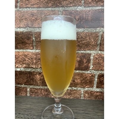 京都府城陽市産 JOYO PLUM FOREST ALE(梅クラフトビール) 4本セット