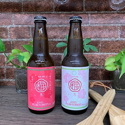 京都府城陽市産 JOYO PLUM FOREST ALE(梅クラフトビール) 4本セット
