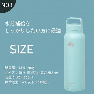TW 真空断熱 キャリーボトル AB 750ml 保冷対応のステンレスボトル 81286063