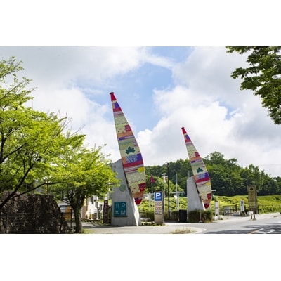 ロゴスランド　BBQソース89004002   2本セット