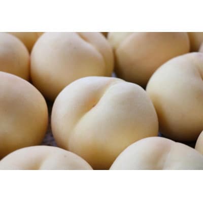 城陽特産たっぷり!うちだ農園coucou!の無添加ジャムセット<120g×2種>