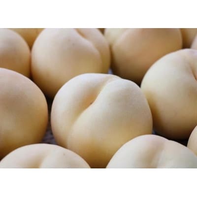 オリジナルアイスクリーム【 甘熟いちじく・桃2種 】6個詰め合わせセット