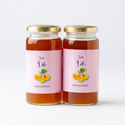 爽やかな朝のスタートに梅のピュアな香りと酸味の効いた【梅ジャム】　180g 2本セット