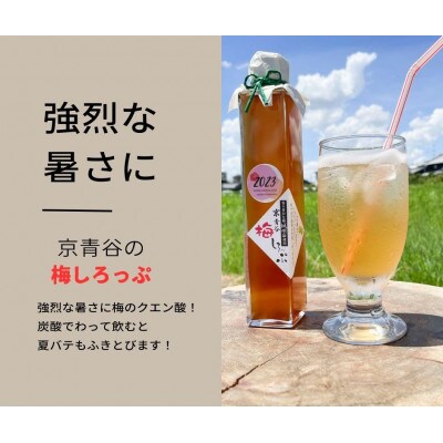 炭酸水や、カクテルで楽しめる梅の味【京青谷の梅しろっぷ】200ml。2本セット箱入。