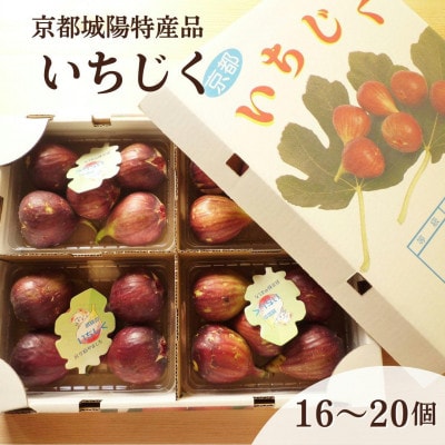 京都府城陽特産品　新鮮朝採りいちじく　4パック入り　チルドお届け 1パック4個から6個入り