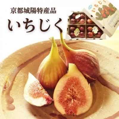 京都府城陽特産品　新鮮朝採りいちじく　4パック入り　チルドお届け 1パック4個から6個入り