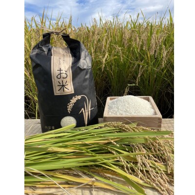循環農法で育てたヒノヒカリ　白米5キロ　栽培期間中農薬・化学肥料不使用