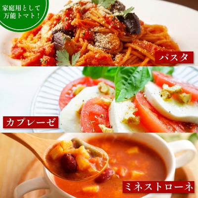 京都府産 トマト 約4kg(12～30個)産地直送