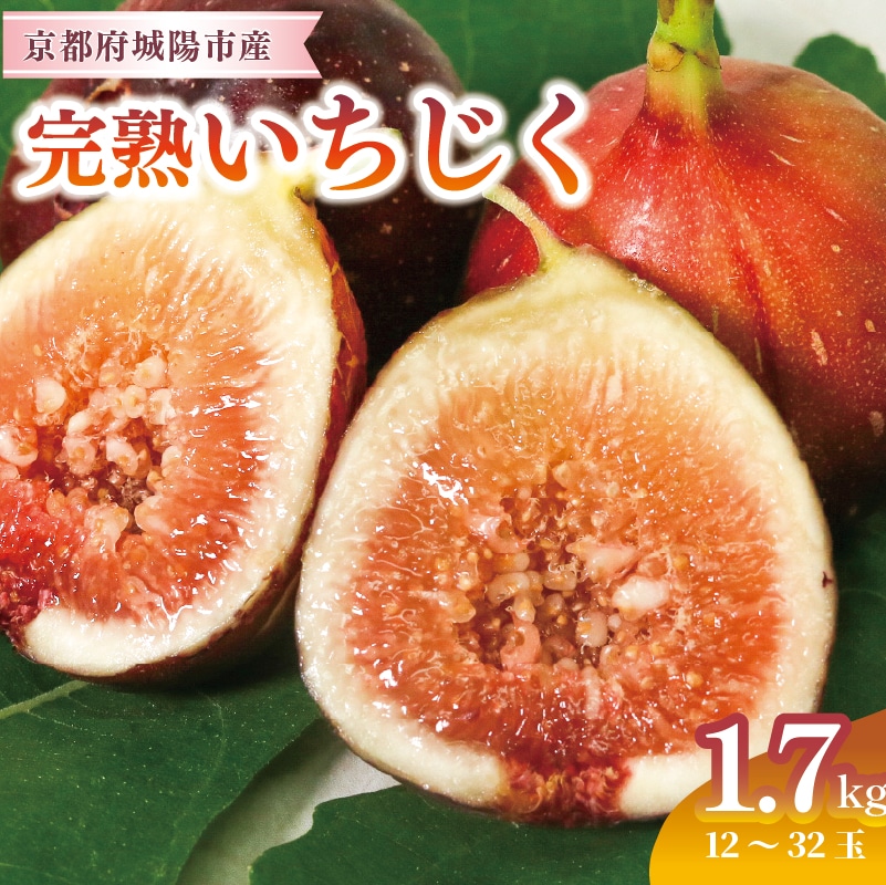 完熟いちじく 約1.7kg (12～32個目安) 5L～Mサイズ
