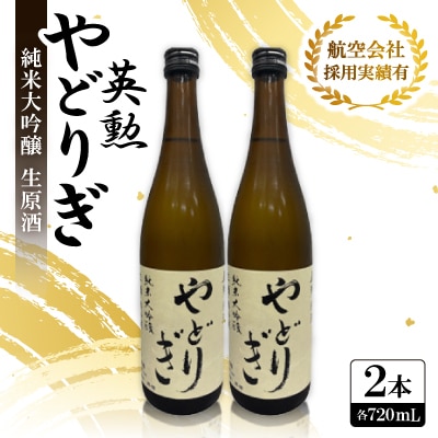 英勲やどりぎ 純米大吟醸 生原酒 720ml×2本 JALの機内酒にも採用された京都の日本酒 要冷蔵