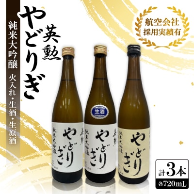 英勲 やどりぎ 純米大吟醸 720ml×3本(火入れ・生酒・生原酒)JALの機内酒にも採用された