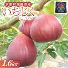 京都府城陽市のいちじく(ドーフィン) 400g×4パック 栄養が豊富な体に嬉しいフルーツ