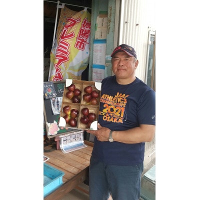 京都府城陽市のいちじく(ドーフィン) 400g×4パック 栄養が豊富な体に嬉しいフルーツ