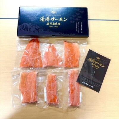 薩州サーモン 500g 鹿児島 国産 養殖 サーモン ss1818