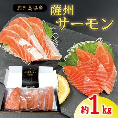 薩州サーモン 1kg 鹿児島 国産 養殖 サーモン  ss1819 | ふるさと納税のお礼品