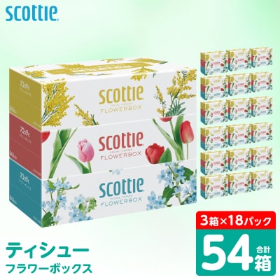 ティッシュ 250組 54箱 フラワーボックス 日用品 スコッティ_186-6353-B