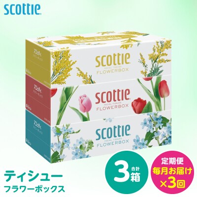 【毎月定期便】 ティッシュ 250組 3箱 日用品 スコッティ 全3回_186-6711