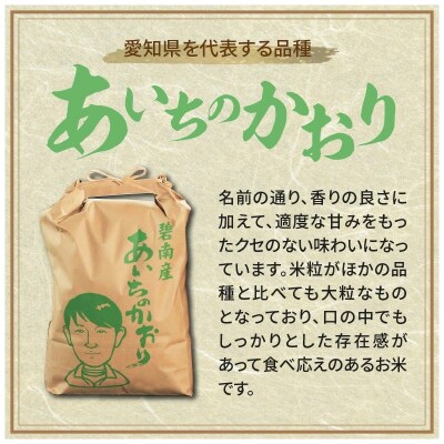 【潮かぶり米】令和8年 あいちのかおり&コシヒカリ2品種 食べ比べ10kg　H073-011