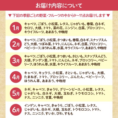 【毎月お届け】旬のお任せセット(野菜・フルーツ)9～11品【JAほたるの里】_AM0175-00
