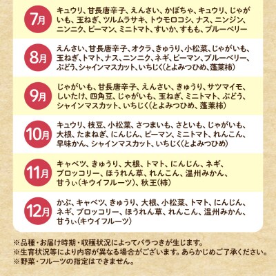 【毎月お届け】旬のお任せセット(野菜・フルーツ)9～11品【JAほたるの里】_AM0175-00