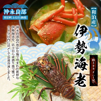 【漁師直送】活き〆冷凍　天然伊勢海老300グラム(1尾)