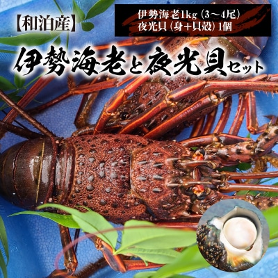 【漁師直送】活き〆冷凍　天然伊勢海老1キロ(3～4尾)と夜光貝(1個)のセット