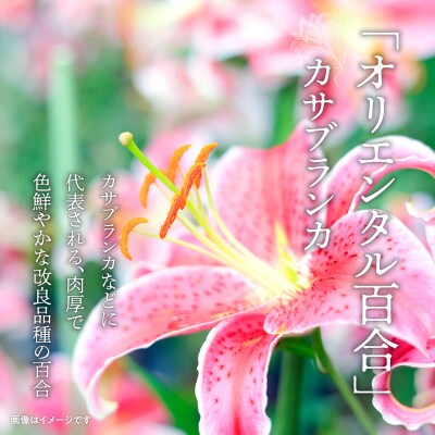 沖永良部島で大切に育てられた　オリエンタル・カサブランカの花セット