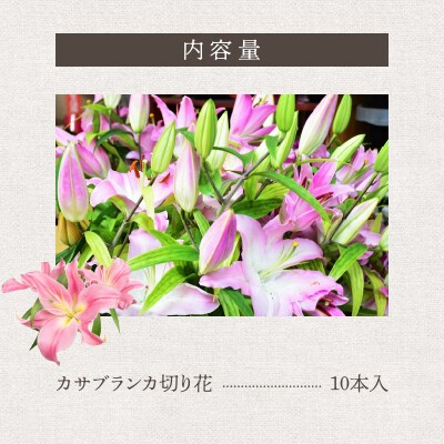 沖永良部島で大切に育てられた　オリエンタル・カサブランカの花セット