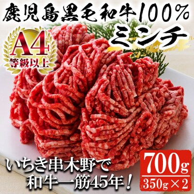 鹿児島県産黒毛和牛100%ミンチ(約350g×2パック・約700g)