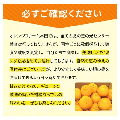 熊本県天草産　肥の豊5kg　19～20玉〈先行受付〉_S110-001