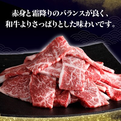 北海道浜中黒牛肩ロース(焼肉用)約500g_H0019-117