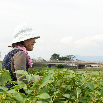 「TACHIARAI」おいしかぁ～便 (夢つくし2kg入)1～2人暮らし向け