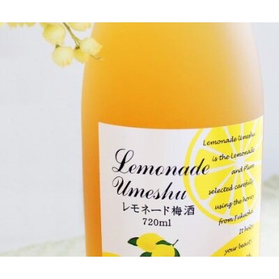 【ふるさと納税限定】「レモネード梅酒」と酒によく合うたらこの旨煮、〆の逸品ラーソーメンの晩酌セット!