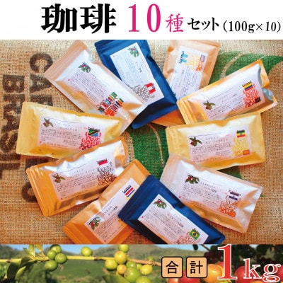 世界の珈琲飲み比べ 豆コース 10種類(100g×10)合計1kg(ブラジル・モカ・キリマンetc)