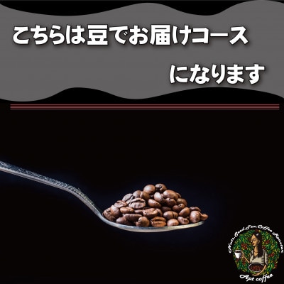 世界の珈琲飲み比べ 豆コース 5種類(100g×5)合計500g(南米・中米・アジア・アフリカ)