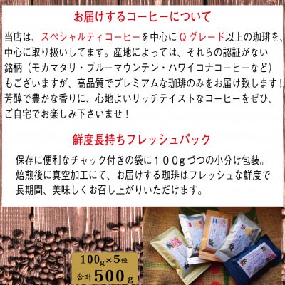 世界の珈琲飲み比べ 豆コース 5種類(100g×5)合計500g(南米・中米・アジア・アフリカ)