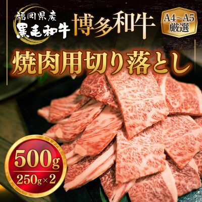 福岡県産 黒毛和牛 博多和牛焼肉用切り落とし 500g(大刀洗町)