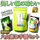 【さとふる限定】福岡銘茶八女茶 急須要らずのお手軽セット(便利なチャック付)(大刀洗町)